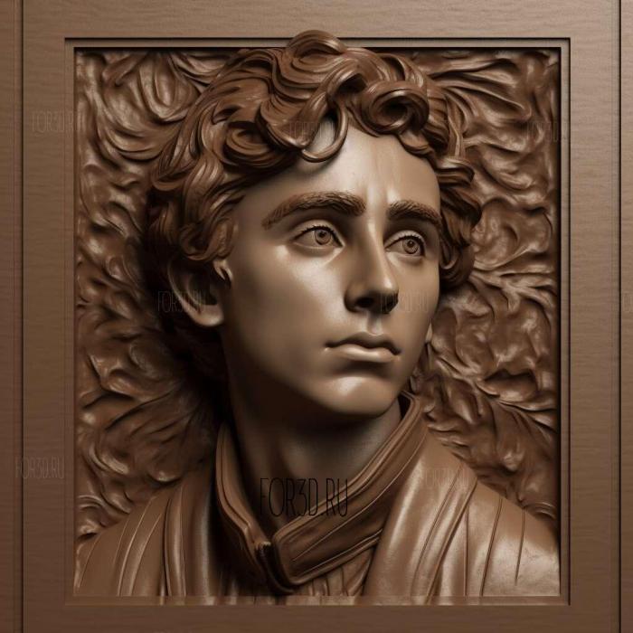 timothee chalamet 1 stl model for CNC