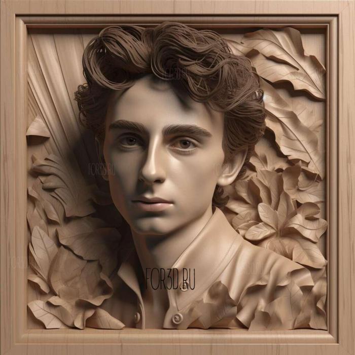 timothee chalamet 3 stl model for CNC