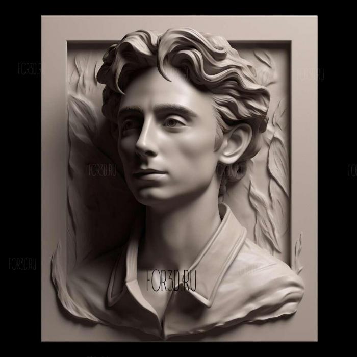 timothee chalamet 4 stl model for CNC