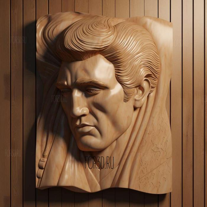 Elvis Presley head 4 stl model for CNC