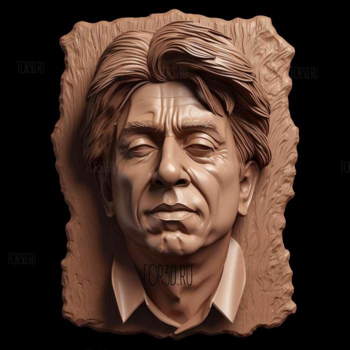 Sharukh khan face bust 1 stl model for CNC