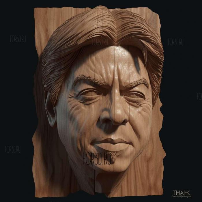 Sharukh khan face bust 2 stl model for CNC