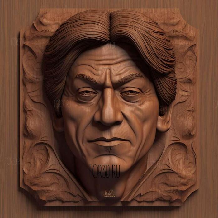 Sharukh khan face bust 3 stl model for CNC