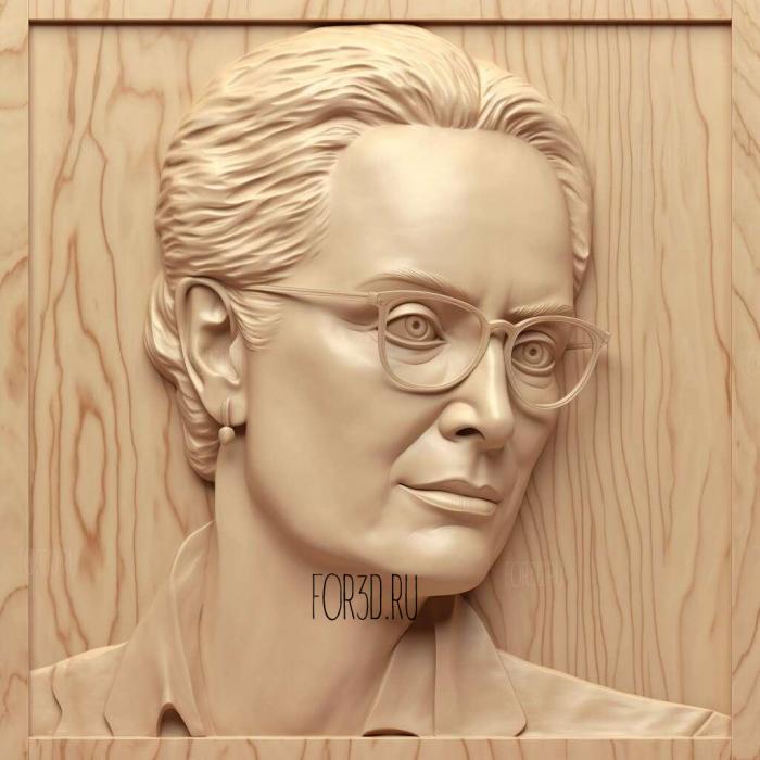 Karen Silk Silk Meryl Streep 1 stl model for CNC