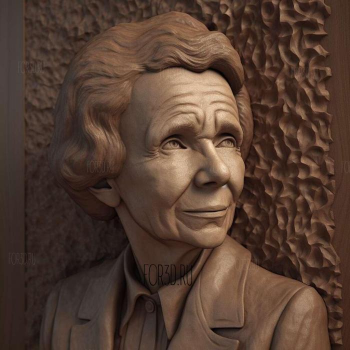 Rachel Carson environmentalist 3 stl model for CNC