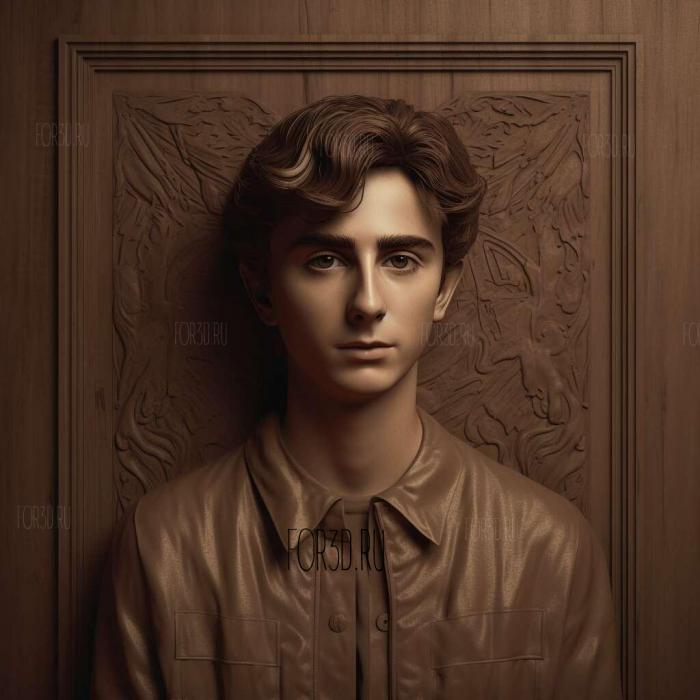 timothee chalamet 2 stl model for CNC