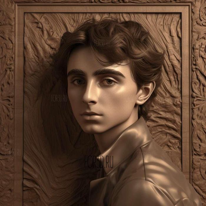 timothee chalamet 3 stl model for CNC