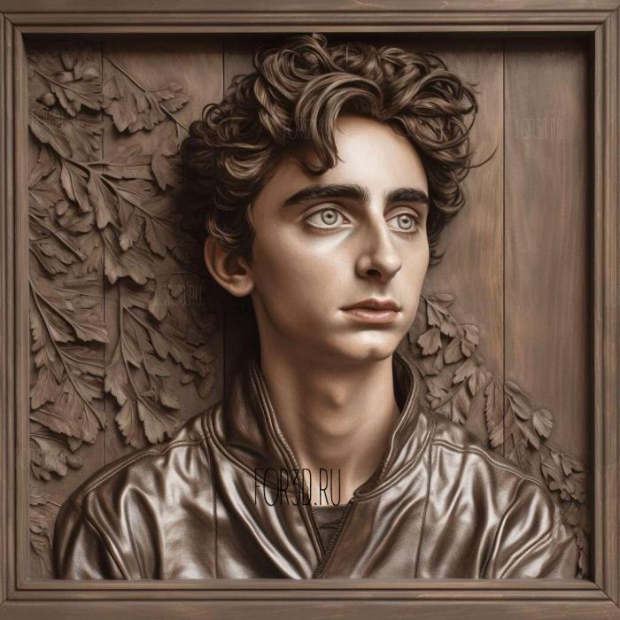 timothee chalamet 4 stl model for CNC