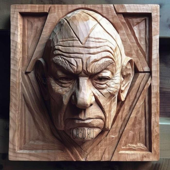 stl Star Trek Picard series 1 stl model for CNC