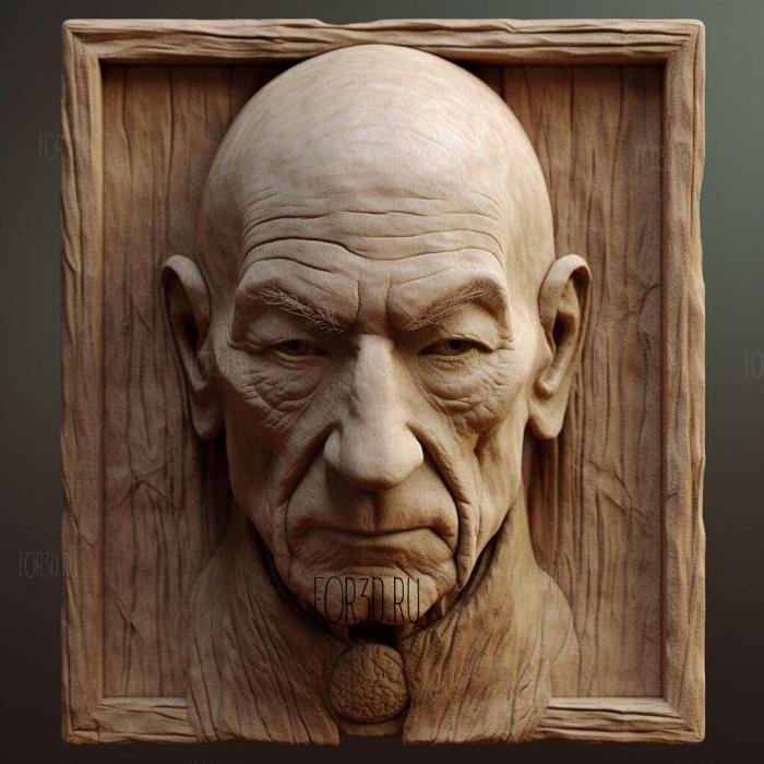stl Star Trek Picard series 3 stl model for CNC