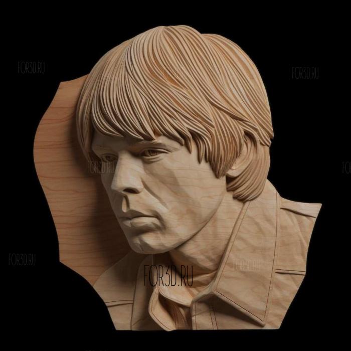 Luke Skywalker Bespin Brown Hair 1 stl model for CNC