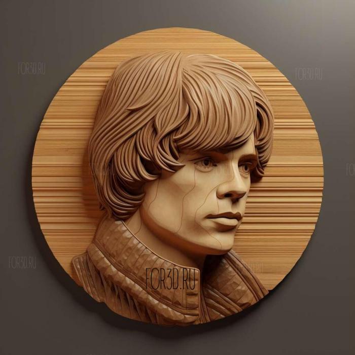 Luke Skywalker Bespin Brown Hair 2 stl model for CNC