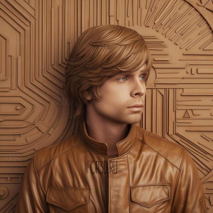 Luke Skywalker Bespin Brown Hair 1 stl model for CNC