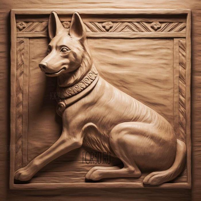 st The Canaanite dog 4