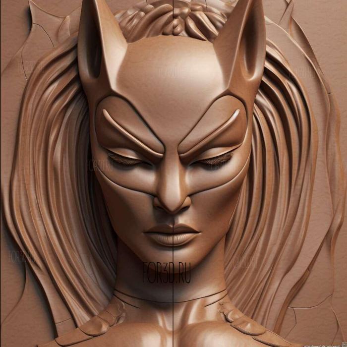 st Catwoman DC Universe 1