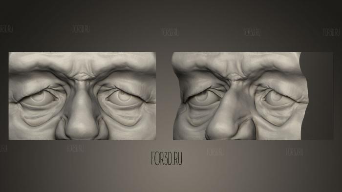 Droopy Old Man Eyes Sculpt 3d stl модель для ЧПУ