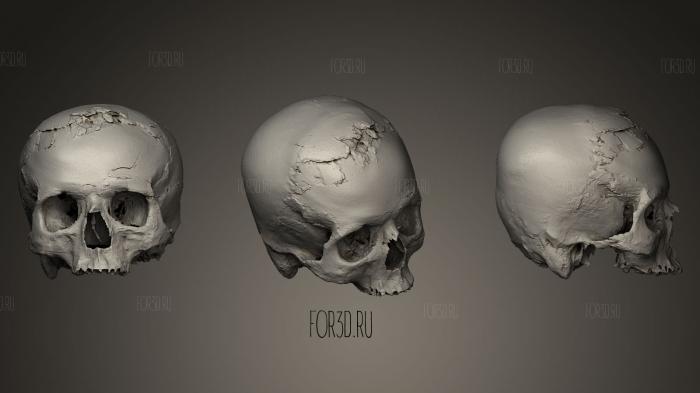 Реконструкция черепа Иерихона 3d stl модель для ЧПУ