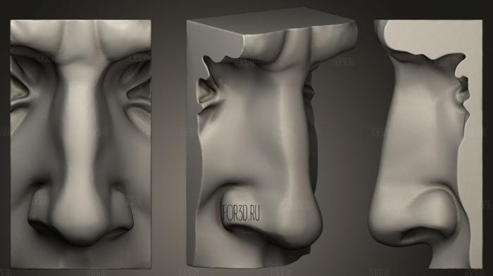 Michelangelos david nose 3d stl модель для ЧПУ