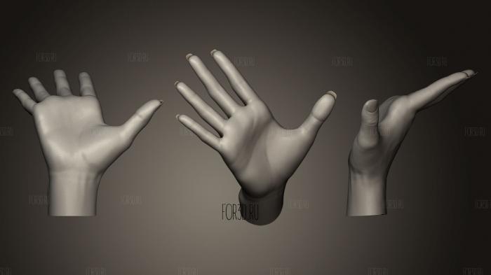 Female Hand Sculpt 3 3d stl модель для ЧПУ