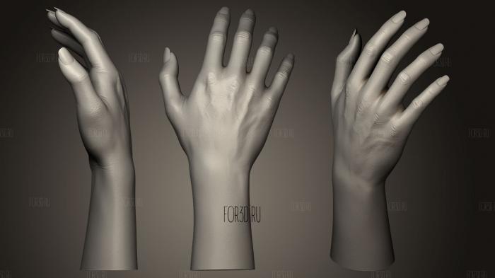 Гуманоидная Женская Рука 7 3d stl модель для ЧПУ
