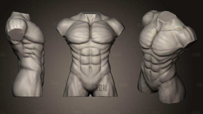 Male body Torso STL for 3D Print 3d stl модель для ЧПУ