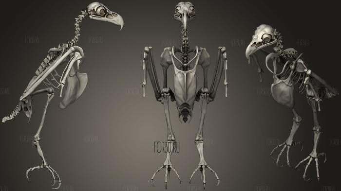 Bald Eagle Skeleton3 3d stl модель для ЧПУ