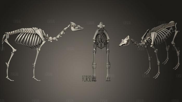 Camel Skeleton Dromedary 3d stl модель для ЧПУ