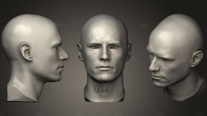 Caucasian adult male head scan 3d stl модель для ЧПУ