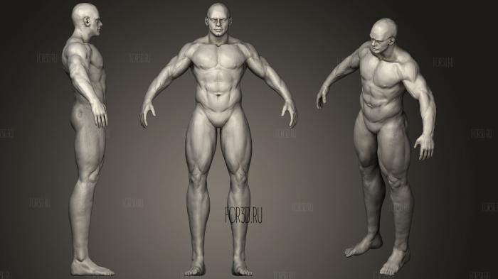 Fit Male Anatomy base