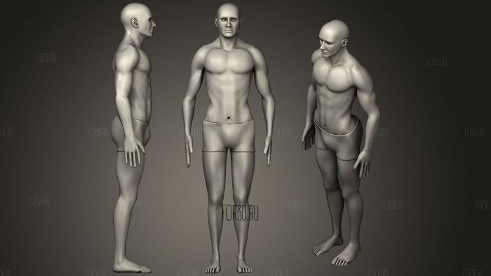 Полная анатомия человеческого тела 3d stl модель для ЧПУ