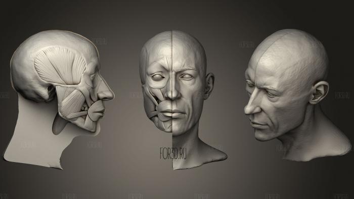Head Skull Decimated 3d stl модель для ЧПУ