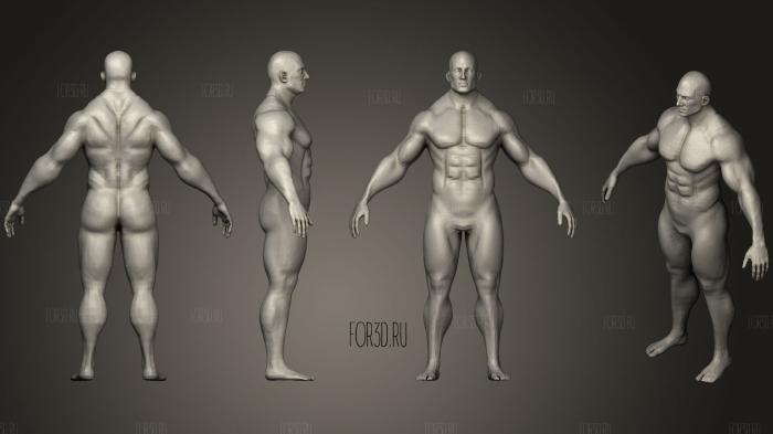 Human Body Base 20k Poly1