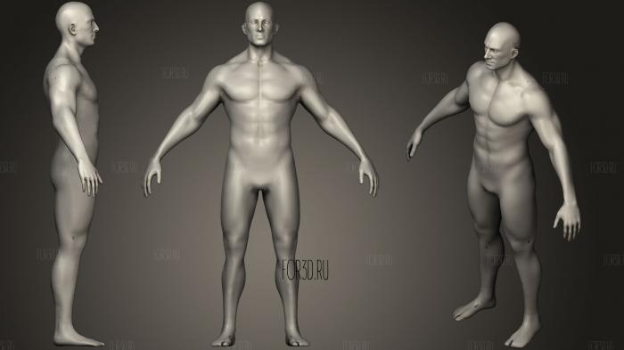 Human Body Base 20k Poly7 stl model for CNC