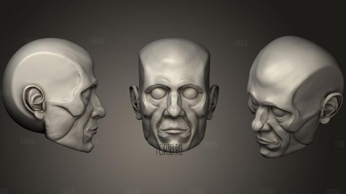 Human Male Head Base Sculpt stl model for CNC