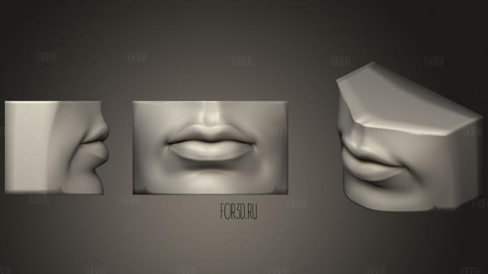 Human Mouth Eye and Nose Reference 1