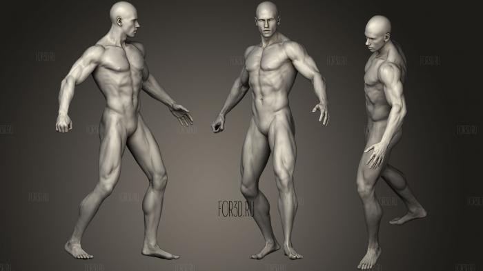 Скульптура мужского тела в полный рост14 3d stl модель для ЧПУ