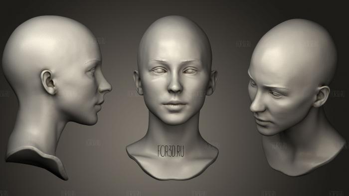 Printable Female Head 11 3d stl модель для ЧПУ