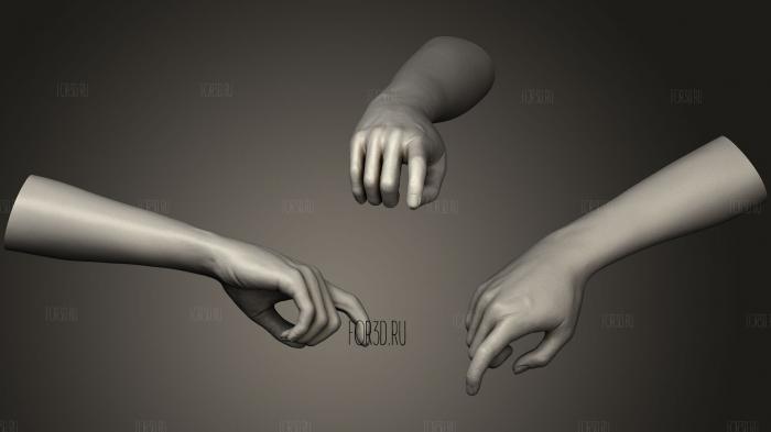 Реалистичная Женская рука 6