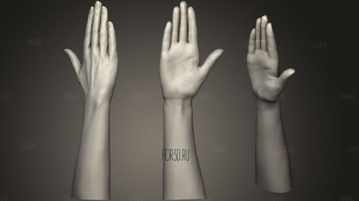 Реалистичная Женская рука 10