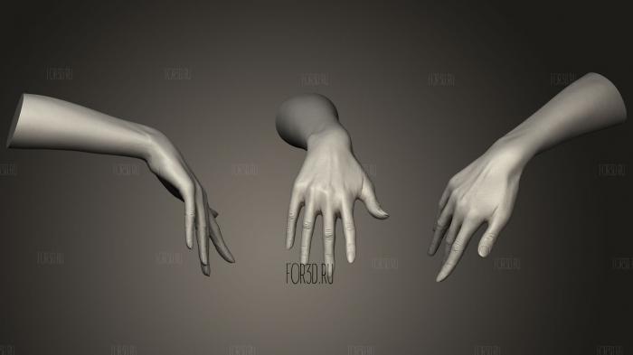 Realistic Female Hand 630