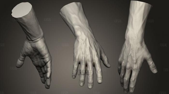 Realistic Male Hand 1