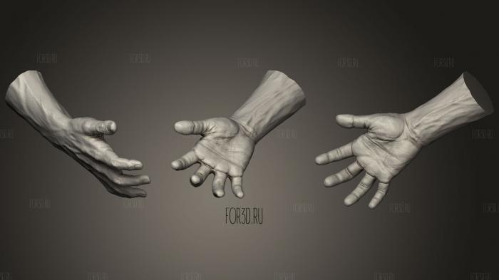 Realistic Male Hand 2 stl model for CNC