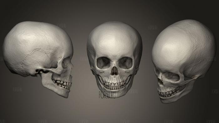 Skull Child Caucasian 3d stl модель для ЧПУ