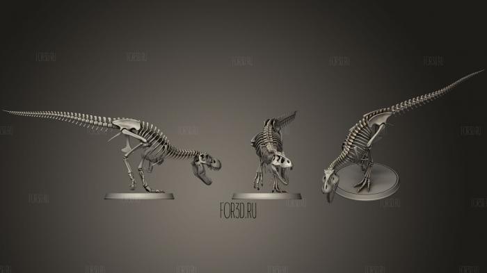 Tyrannosaurus Skeleton