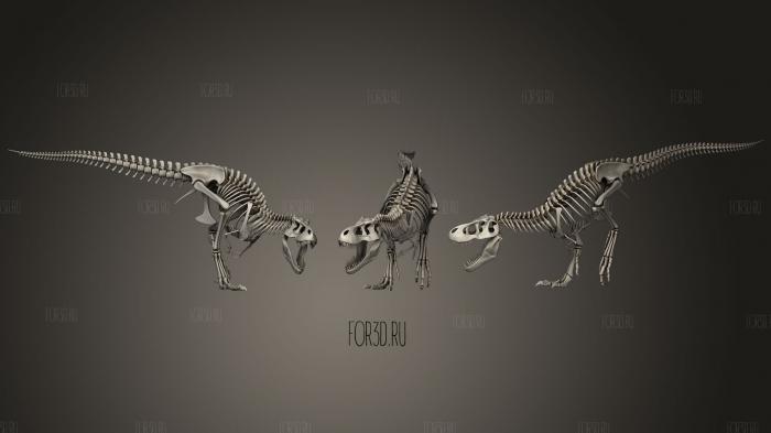 Скелет трицератопа тираннозавра 1