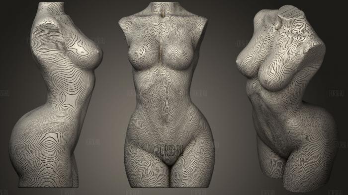 Woman Torso Wood Grain   Nude 3d stl модель для ЧПУ