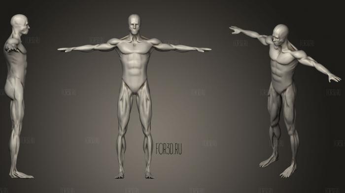 Bicycle Animation Anatomy Male Muscle 3d stl модель для ЧПУ