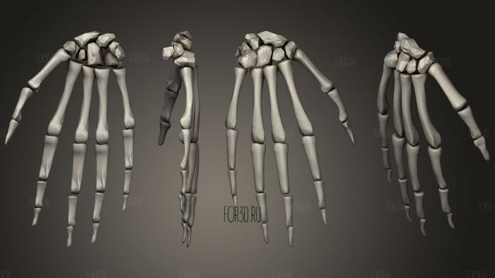 Hand Skeletonamp Skin stl model for CNC