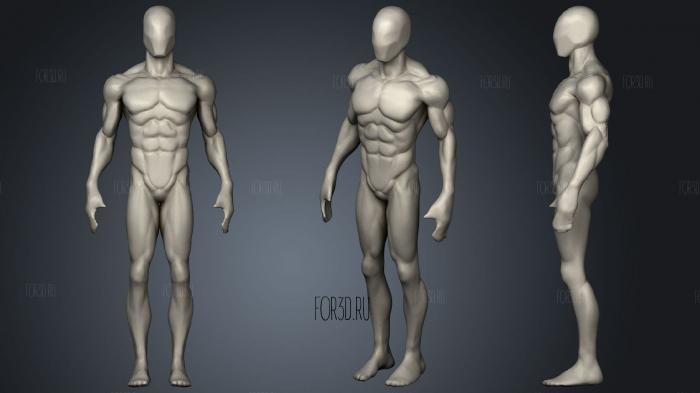 Anatomy study 20 Basemesh Human Male Body stl model for CNC