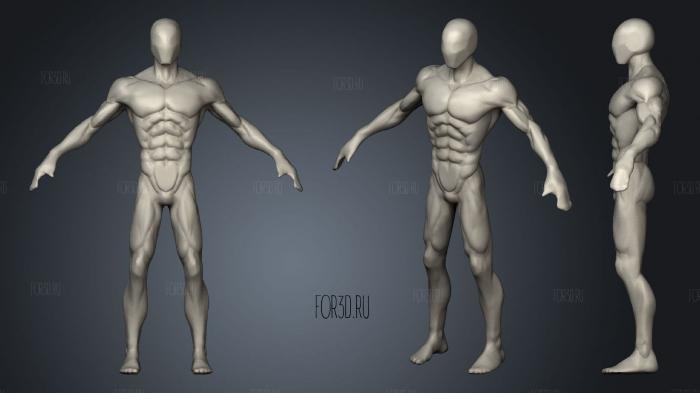Anatomy study Basemesh Human Male Body stl model for CNC